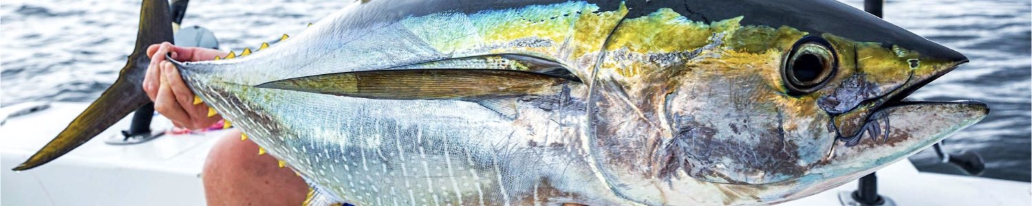 Fluorocarbony na mořský rybolov