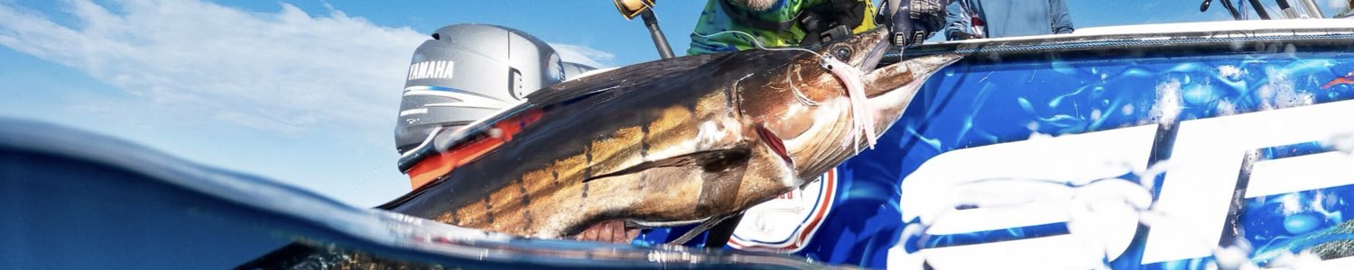 Saltwater monofilament lines