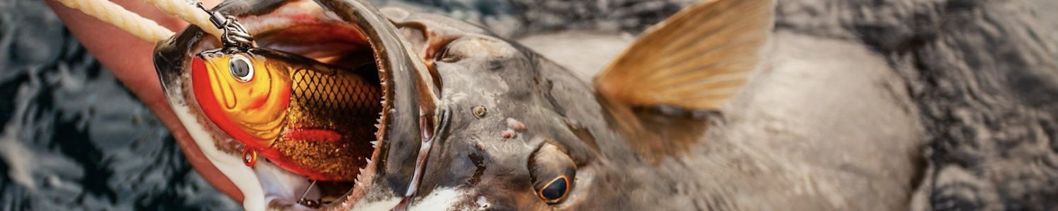 Hlubinné nástrahy na moře – pilkry, halibut jigs, firebally a Tai Rubber