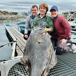 Novinka na SAFrybolov.cz 🇳🇴 Postupně přesouváme naši norskou nabídku (chaty, lodě, služby) ze SmartArcticFox.cz přímo na...